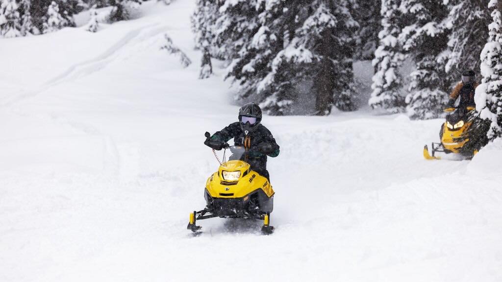 ski-doo-2026/MXZ 200